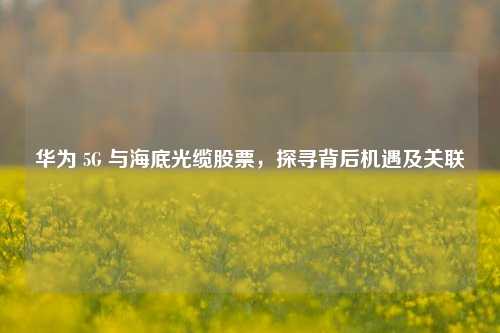 华为 5G 与海底光缆股票，探寻背后机遇及关联