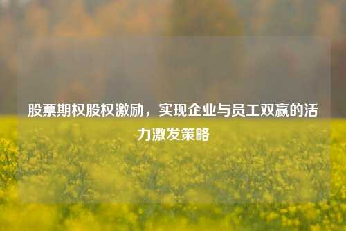 股票期权股权激励，实现企业与员工双赢的活力激发策略