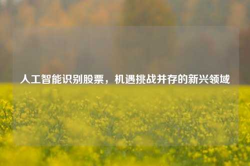 人工智能识别股票，机遇挑战并存的新兴领域