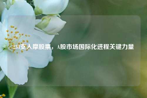 234支入摩股票,A股市场国际化进程关键力量
