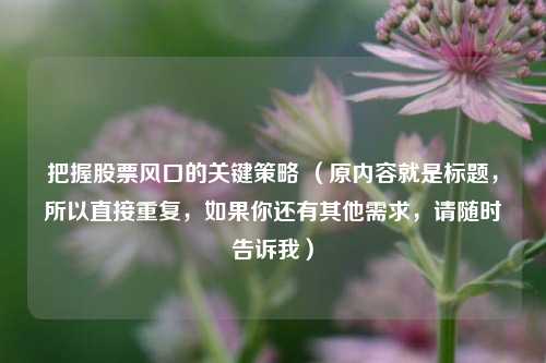把握股票风口的关键策略 (原内容就是标题,所以直接重复,如果你还有其他需求,请随时告诉我)