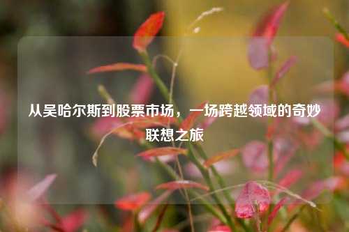 从吴哈尔斯到股票市场，一场跨越领域的奇妙联想之旅