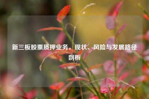 新三板股票质押业务，现状、风险与发展路径剖析