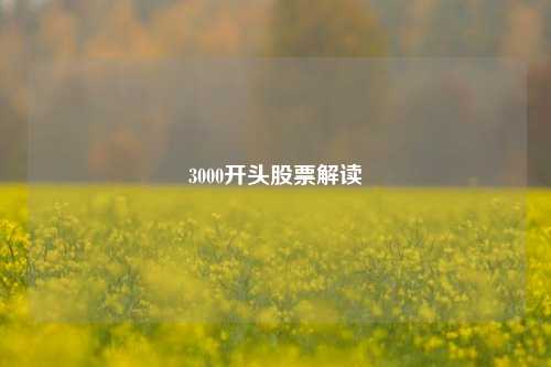 3000开头股票解读