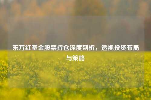 东方红基金股票持仓深度剖析，透视投资布局与策略