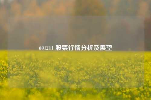 601211 股票行情分析及展望