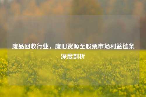 废品回收行业，废旧资源至股票市场利益链条深度剖析