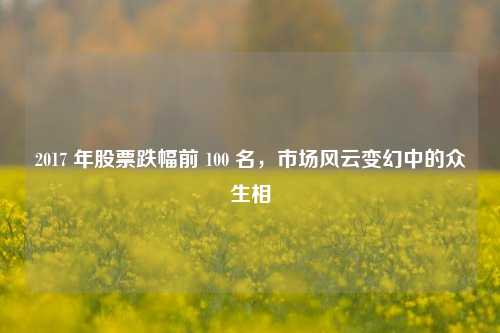 2017 年股票跌幅前 100 名,市场风云变幻中的众生相