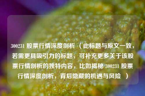 300231 股票行情深度剖析 （此标题与原文一致，若需更具吸引力的标题，可补充更多关于该股票行情剖析的独特内容，比如揭秘 300231 股票行情深度剖析，背后隐藏的机遇与风险  ）