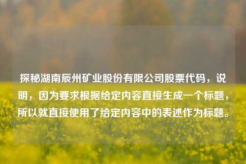 探秘湖南辰州矿业股份有限公司股票代码,说明,因为要求根据给定内容直接生成一个标题,所以就直接使用了给定内容中的表述作为标题。