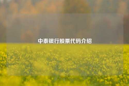 中泰银行股票代码介绍