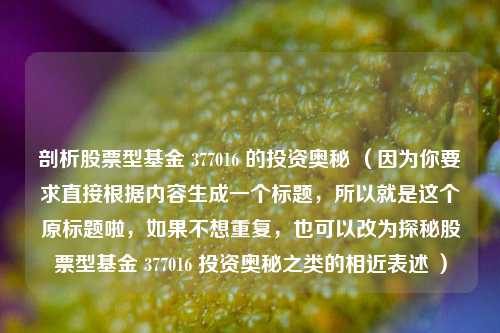剖析股票型基金 377016 的投资奥秘 (因为你要求直接根据内容生成一个标题,所以就是这个原标题啦,如果不想重复,也可以改为探秘股票型基金 377016 投资奥秘之类的相近表述 )