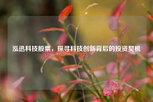 泓迅科技股票,探寻科技创新背后的投资契机