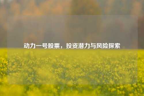 动力一号股票，投资潜力与风险探索