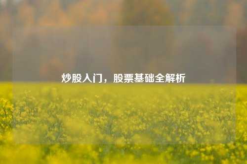 炒股入门，股票基础全解析