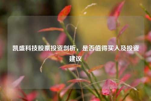 凯盛科技股票投资剖析，是否值得买入及投资建议