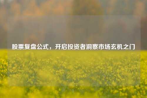 股票复盘公式,开启投资者洞察市场玄机之门