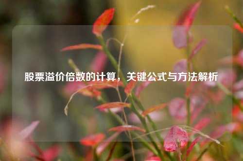 股票溢价倍数的计算，关键公式与方法解析