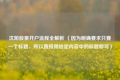 沈阳股票开户流程全解析 （因为明确要求只要一个标题，所以直接用给定内容中的标题即可）
