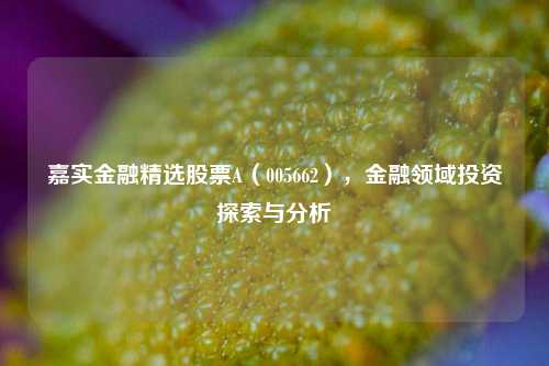 嘉实金融精选股票A（005662），金融领域投资探索与分析