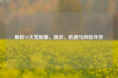 解析ST大荒股票，现状、机遇与风险并存