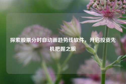 探索股票分时自动画趋势线软件,开启投资先机把握之旅