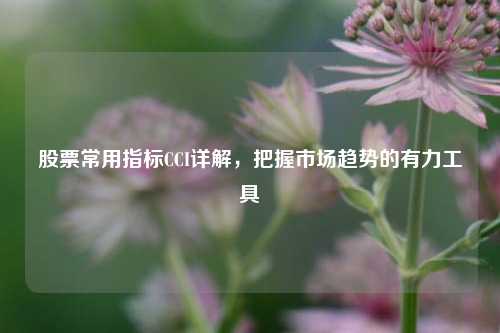 股票常用指标CCI详解,把握市场趋势的有力工具