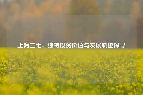 上海三毛，独特投资价值与发展轨迹探寻