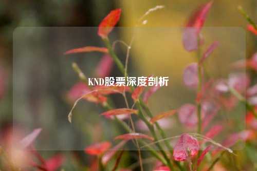 KND股票深度剖析