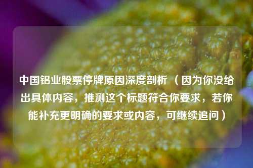 中国铝业股票停牌原因深度剖析 (因为你没给出具体内容,推测这个标题符合你要求,若你能补充更明确的要求或内容,可继续追问)