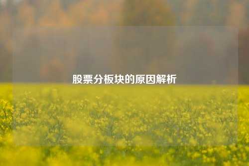 股票分板块的原因解析