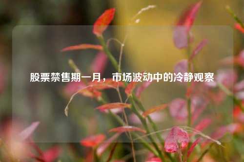 股票禁售期一月,市场波动中的冷静观察