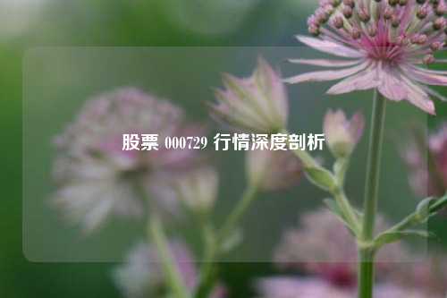 股票 000729 行情深度剖析