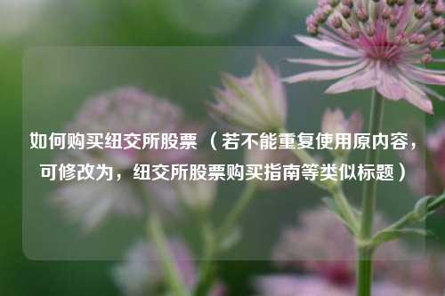 如何购买纽交所股票 （若不能重复使用原内容，可修改为，纽交所股票购买指南等类似标题）