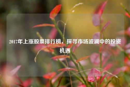 2017年上涨股票排行榜，探寻市场波澜中的投资机遇