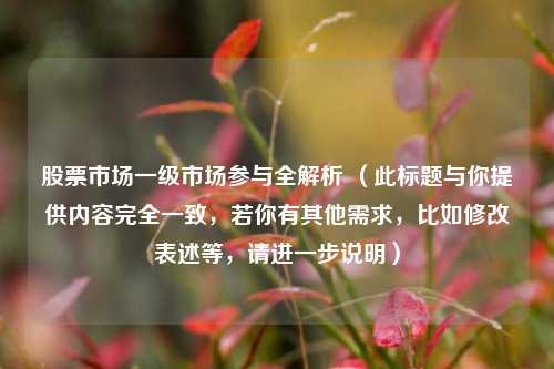 股票市场一级市场参与全解析 (此标题与你提供内容完全一致,若你有其他需求,比如修改表述等,请进一步说明)