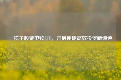 一揽子股票申赎ETF,开启便捷高效投资新通道