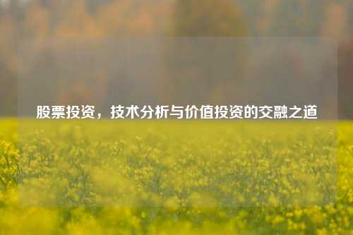 股票投资，技术分析与价值投资的交融之道