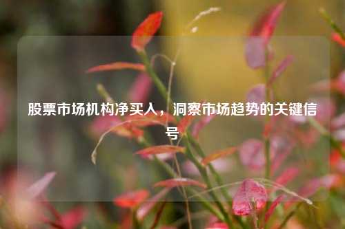 股票市场机构净买入，洞察市场趋势的关键信号
