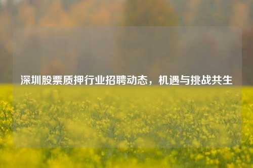 深圳股票质押行业招聘动态，机遇与挑战共生
