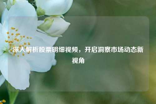 深入解析股票明细视频，开启洞察市场动态新视角