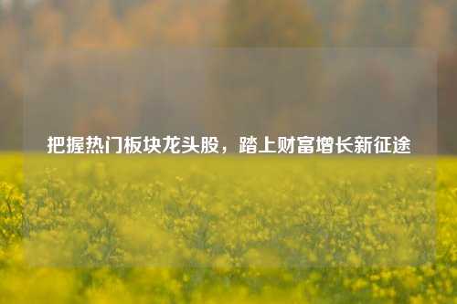 把握热门板块龙头股，踏上财富增长新征途