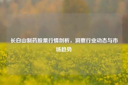 长白山制药股票行情剖析，洞察行业动态与市场趋势
