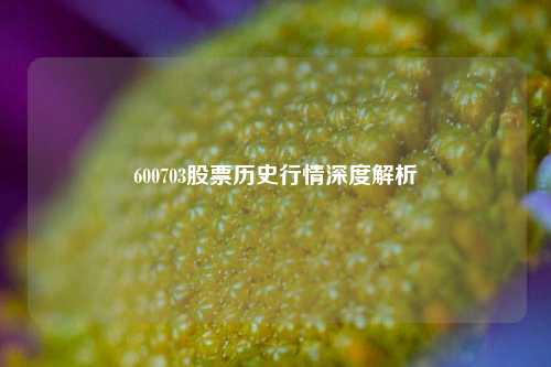 600703股票历史行情深度解析