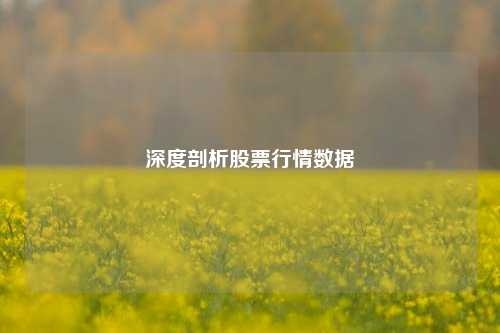 深度剖析股票行情数据