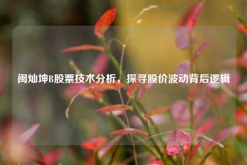 闽灿坤B股票技术分析，探寻股价波动背后逻辑