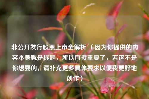 非公开发行股票上市全解析 （因为你提供的内容本身就是标题，所以直接重复了，若这不是你想要的，请补充更多具体要求以便我更好地创作）