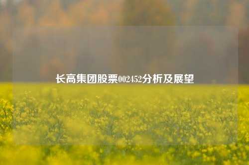 长高集团股票002452分析及展望