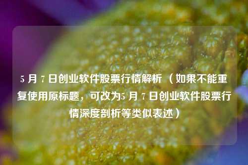 5 月 7 日创业软件股票行情解析 （如果不能重复使用原标题，可改为5 月 7 日创业软件股票行情深度剖析等类似表述）