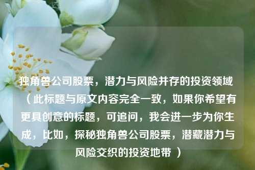独角兽公司股票，潜力与风险并存的投资领域 （此标题与原文内容完全一致，如果你希望有更具创意的标题，可追问，我会进一步为你生成，比如，探秘独角兽公司股票，潜藏潜力与风险交织的投资地带 ）